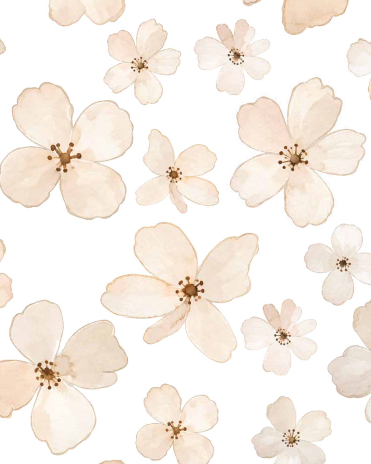 Close up of Ivory Bloom floral wall decals showing delicate watercolour petals, soft beige tones and tiny brown flower centres.