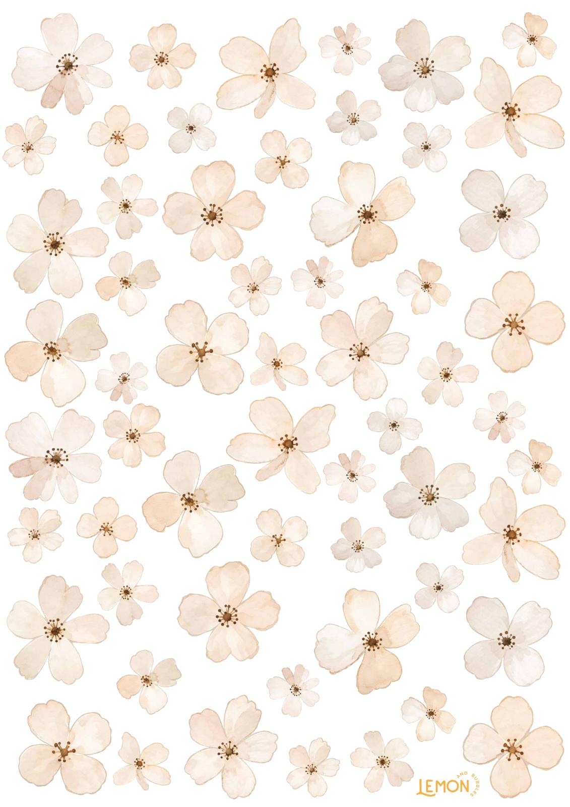 Ivory Bloom Full wall sticker sheet featuring a larger selection of delicate flowers in soft cream, ivory and beige.